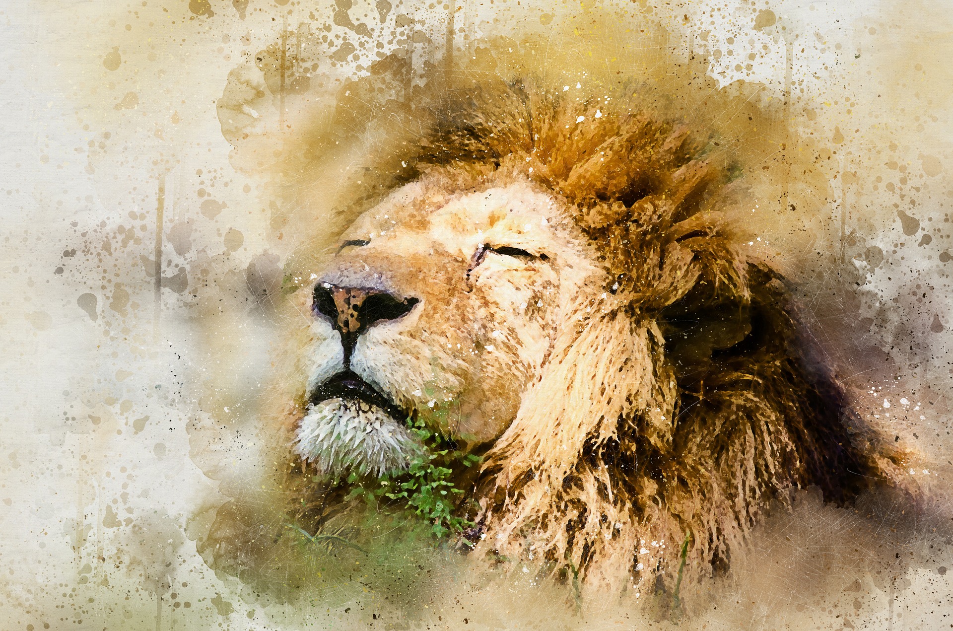 Build a Kingdom Business Confidently